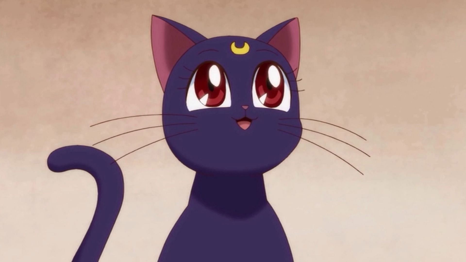 Luna as seen in anime (Image via Toei Animation)